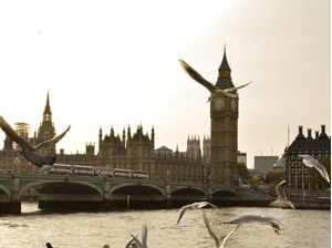 PONTE WESTMINSTER. LONDRES