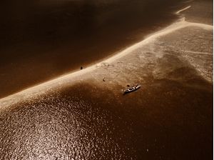 BROWN DREAM