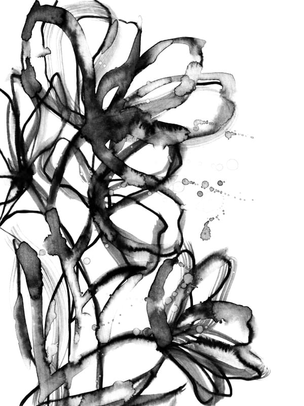 BRUSHSTROKE BLOOMS 1, PRETO E BRANCO FLORAIS BOTANICO MODERNO NEUTRO PINTURA