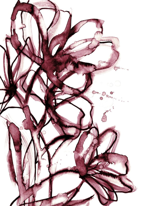 BRUSHSTROKE BLOOMS 5, BORGONHA VERMELHO BRANCO FLORAIS BOTANICO AGUARELA PINTURA