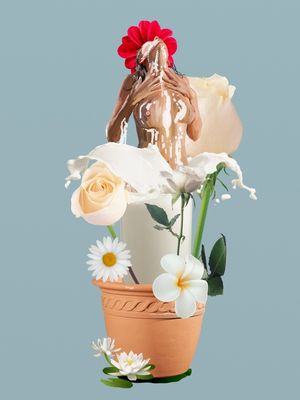 COPO DE LEITE ENTRE FLORES II (BODIES #077)