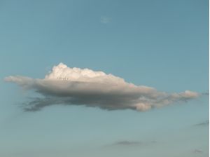 LITTLE BIRDS BIG CLOUD