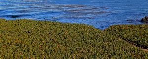 NATUREZA EM AZUL E VERDE