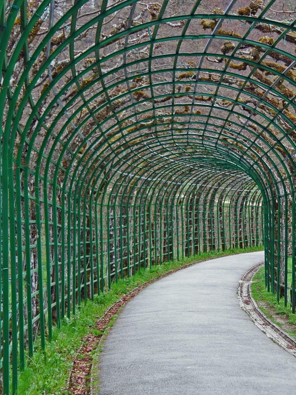 PASSAGE VERT