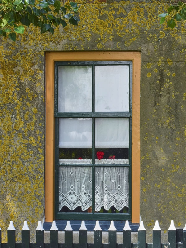 JANELA Nº03