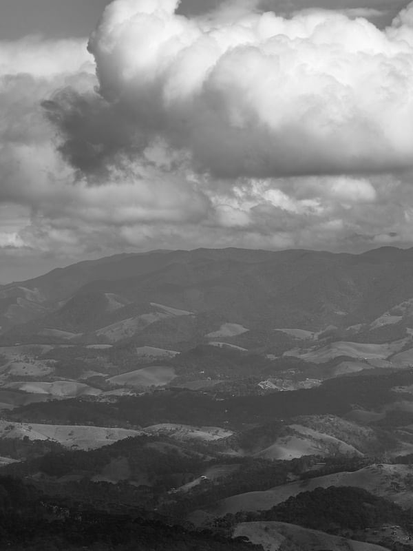 MANTIQUEIRA 02