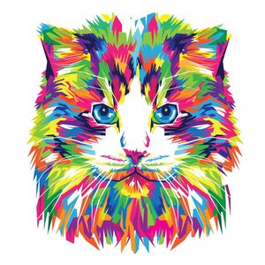 COLORFUL CAT