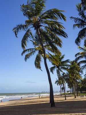 BOA VIAGEM 08.