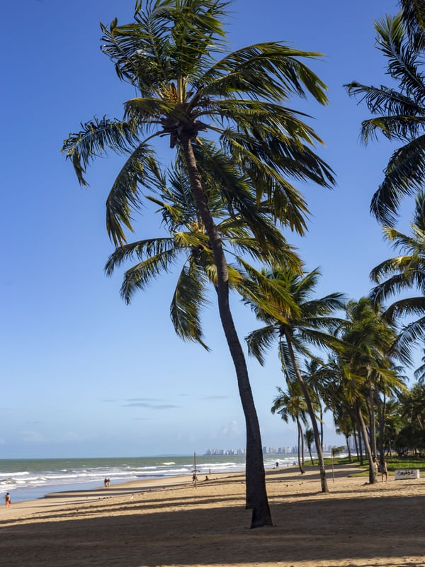BOA VIAGEM 08.