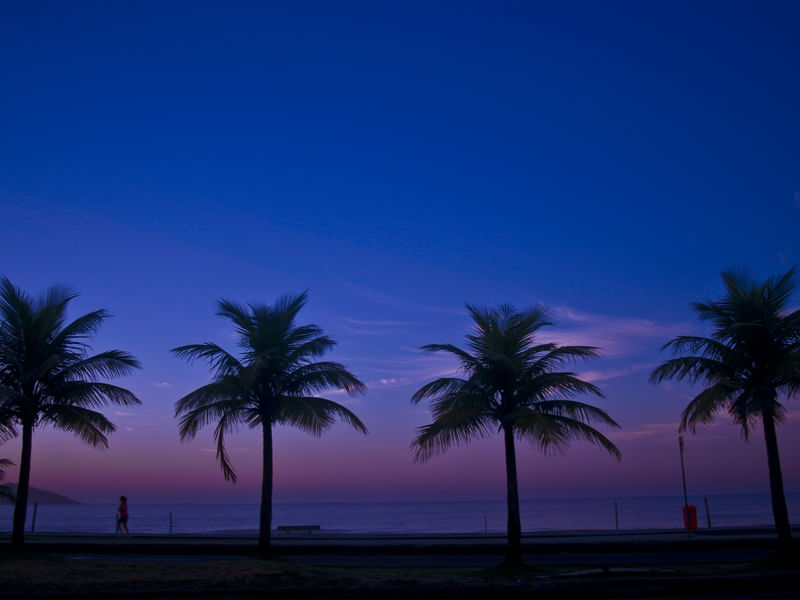CÉU AUZL 1