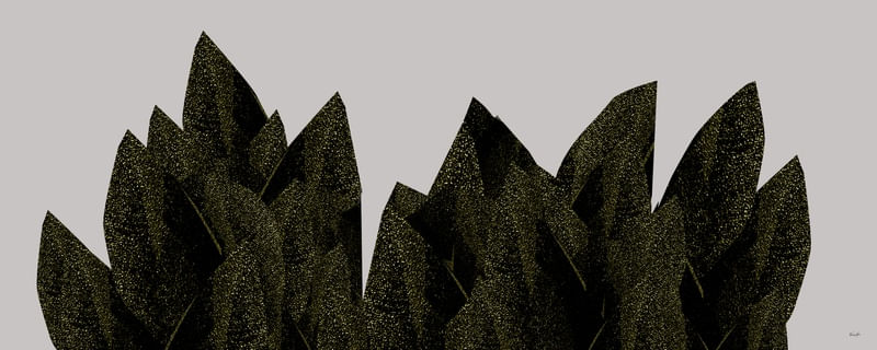 ABSTRACT - PLANT 11.11.20