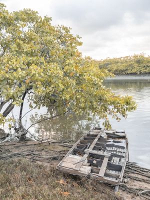 BARCO DE PESCA NO MANGUE