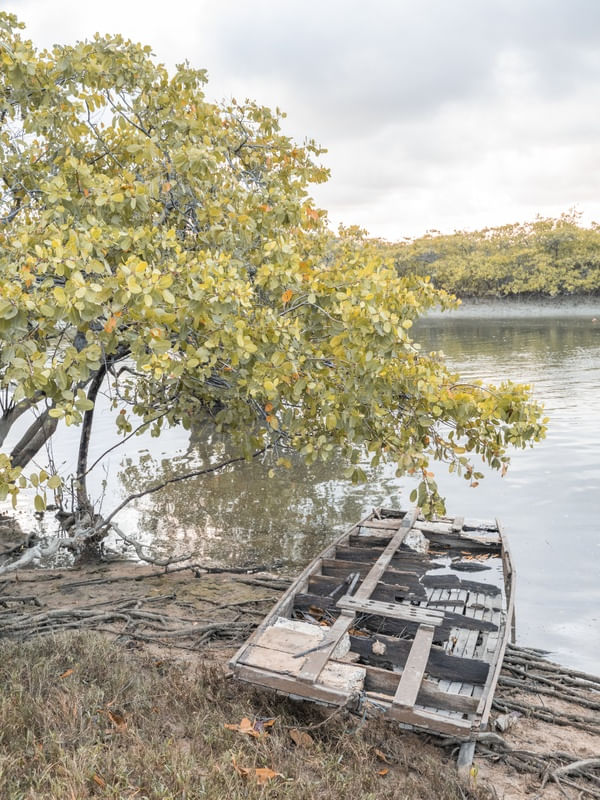 BARCO DE PESCA NO MANGUE