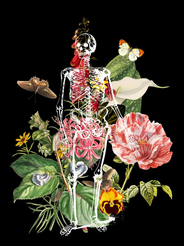 FLORES E ESQUELETOS