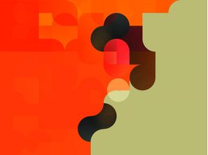 PUZZLE 113