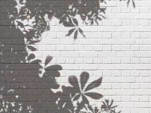 SHADOW ON THE WALL