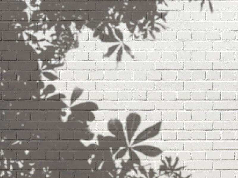 SHADOW ON THE WALL