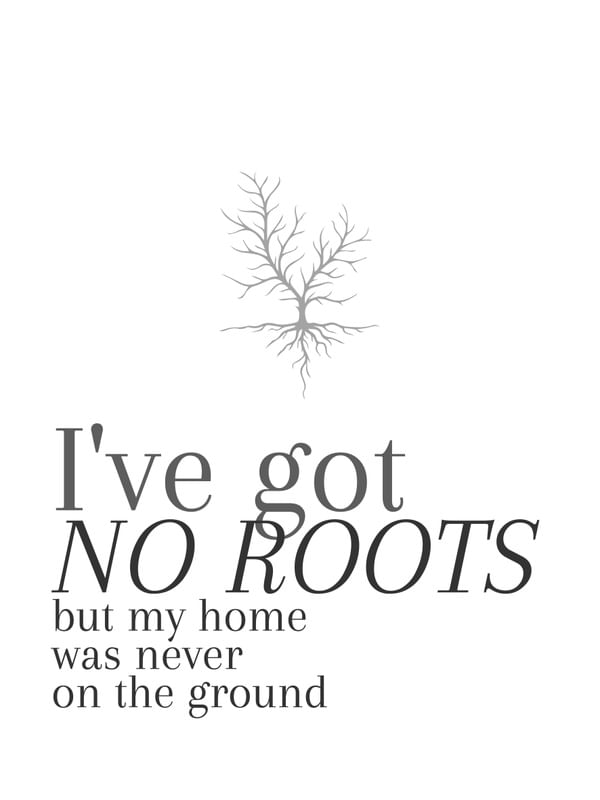 NO ROOTS 001