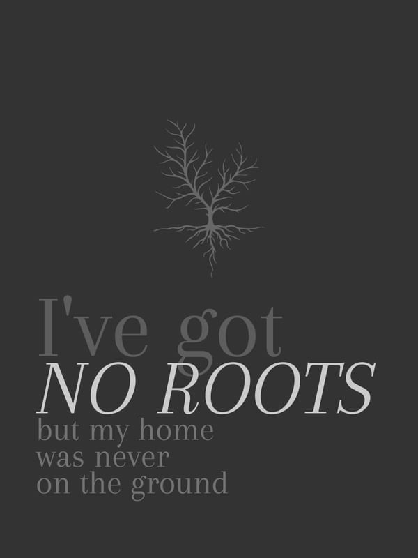 NO ROOTS 002