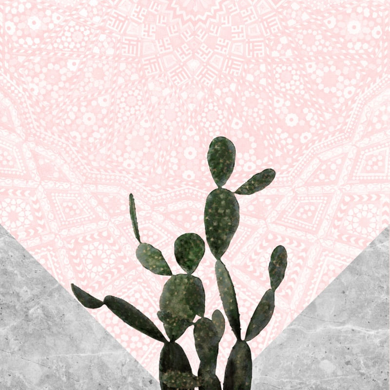 CACTUS 08