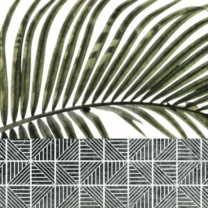 PALM 11