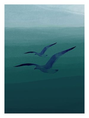 GAIVOTAS EM AQUARELA