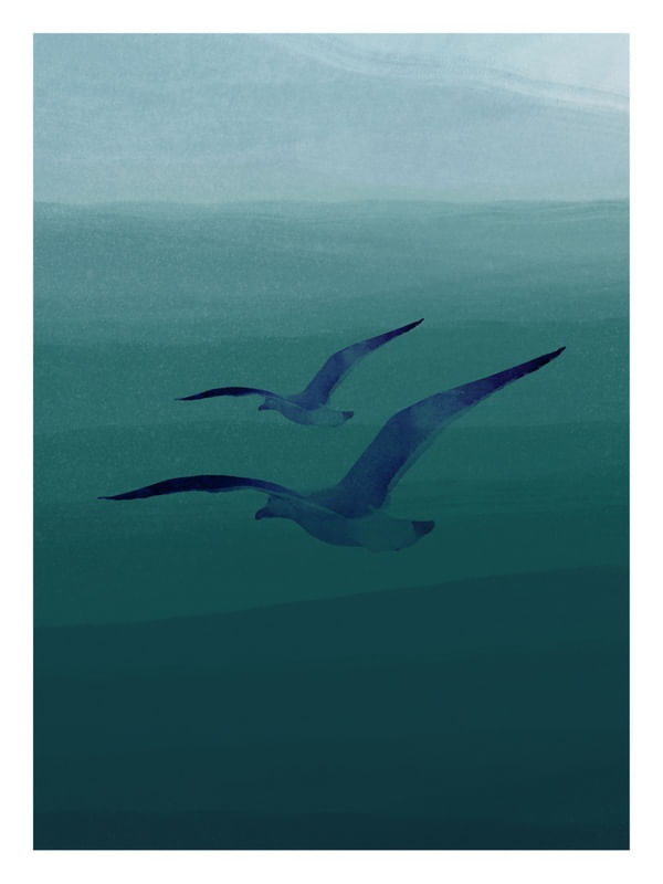 GAIVOTAS EM AQUARELA