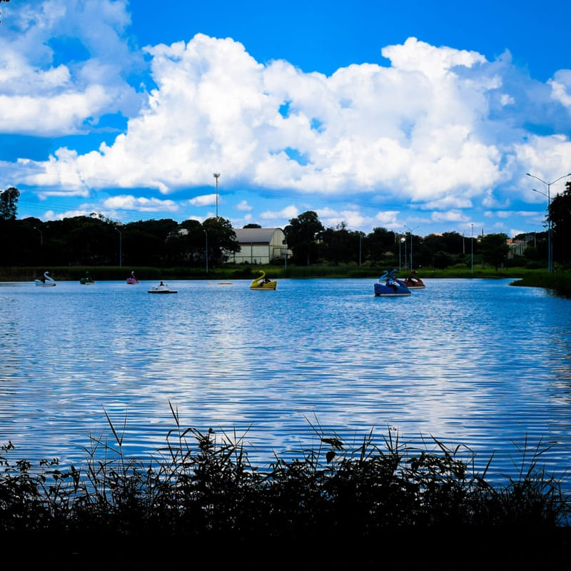 PAISAGEM DO LAGO