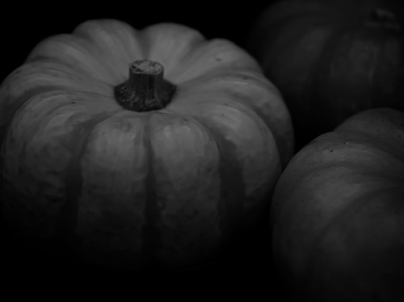 PUMPKIN CLOSE