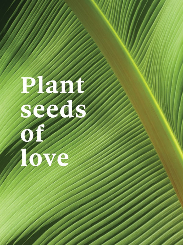 PLANT PHRASE