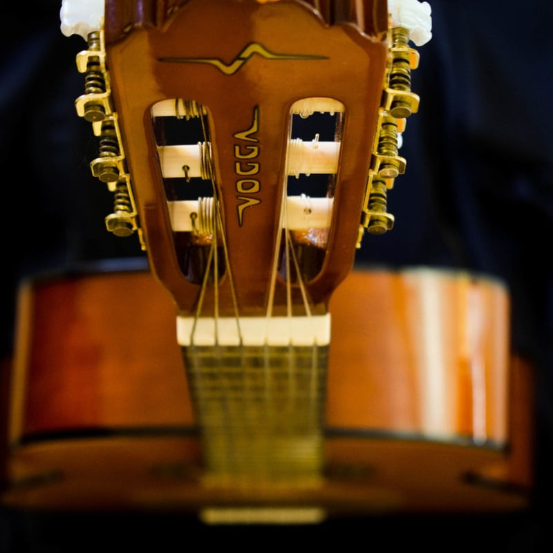 VIOLÃO DETALHADO