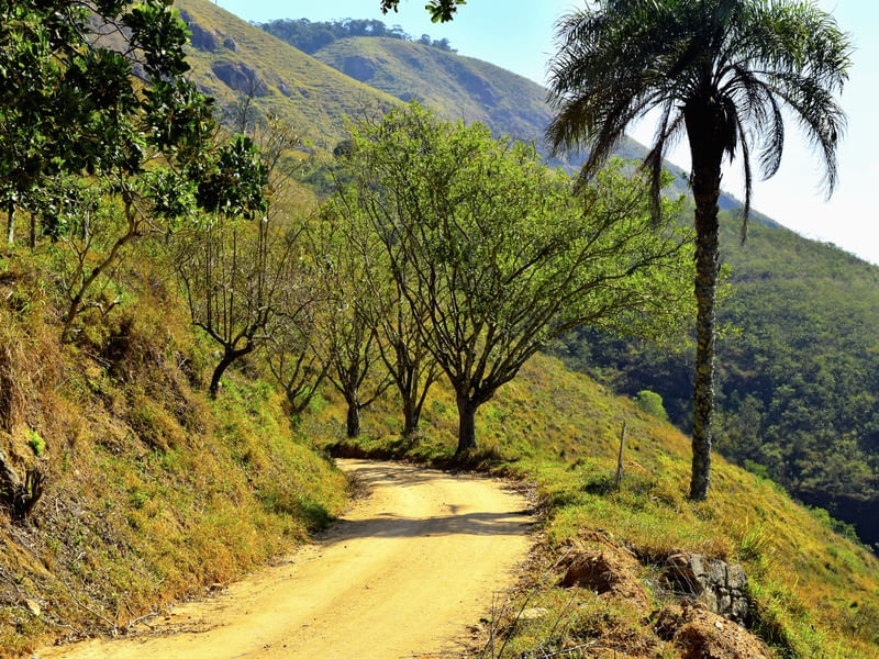 ESTRADA DE TERRA 1