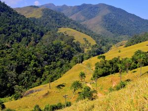 MONTANHA 1