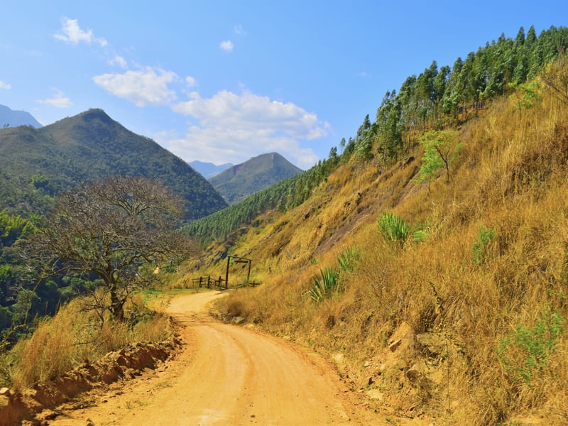 ESTRADA DE TERRA 4