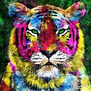COLOR TIGRE
