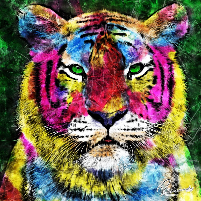 COLOR TIGRE
