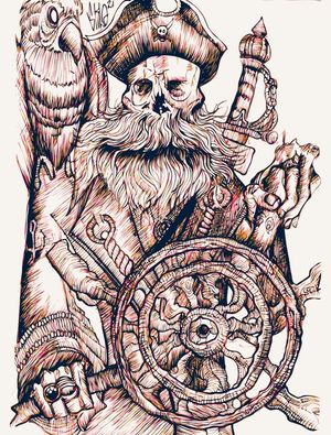 O PIRATA VAGANTE
