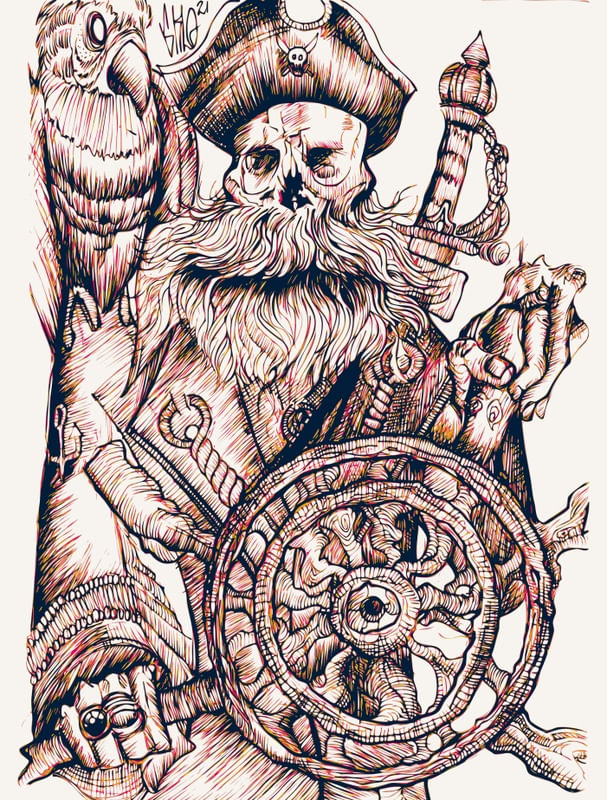 O PIRATA VAGANTE