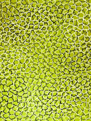 FRAGMENTS LIMAO VERDE COLORIDO MODERNO ABSTRATO SKETCH