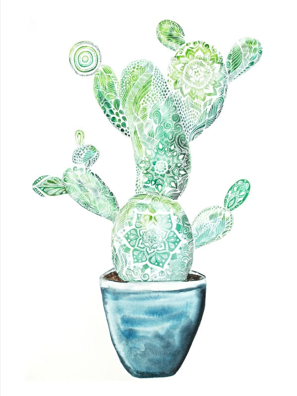 CACTUS PLANT
