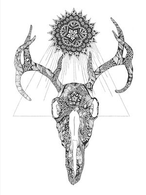 SKULL & HORNS