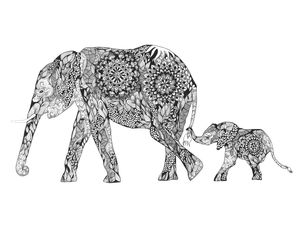 GIGANTES DA SELVA