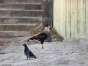 INTERVENÇÕES URBANAS 15B UA
