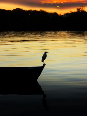 O SILENCIO DO REFLEXO
