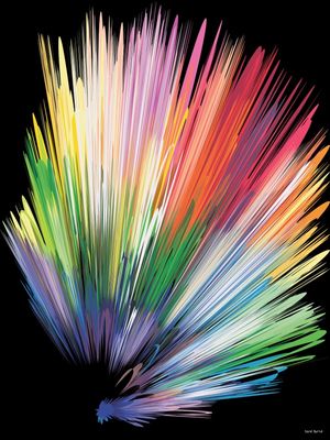 EXPLOSÃO DE CORES 2