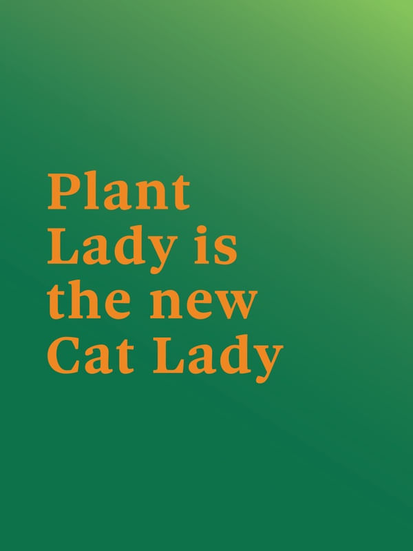 FRASE DE PLANTA III