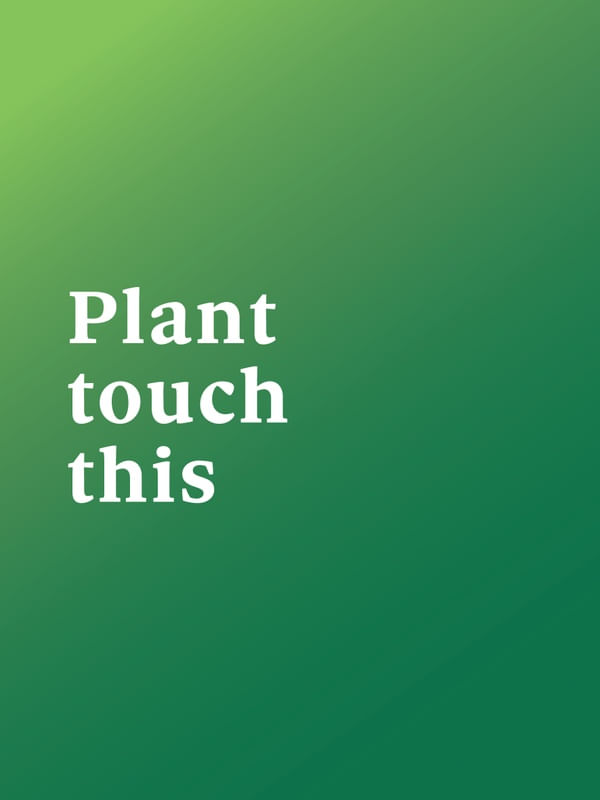 FRASE DE PLANTA IV