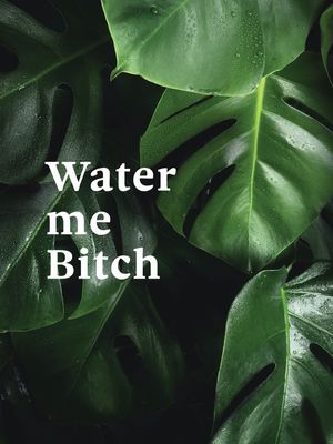 FRASE DE PLANTA XI
