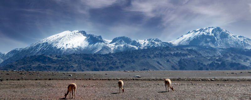 TX - ATACAMA 16