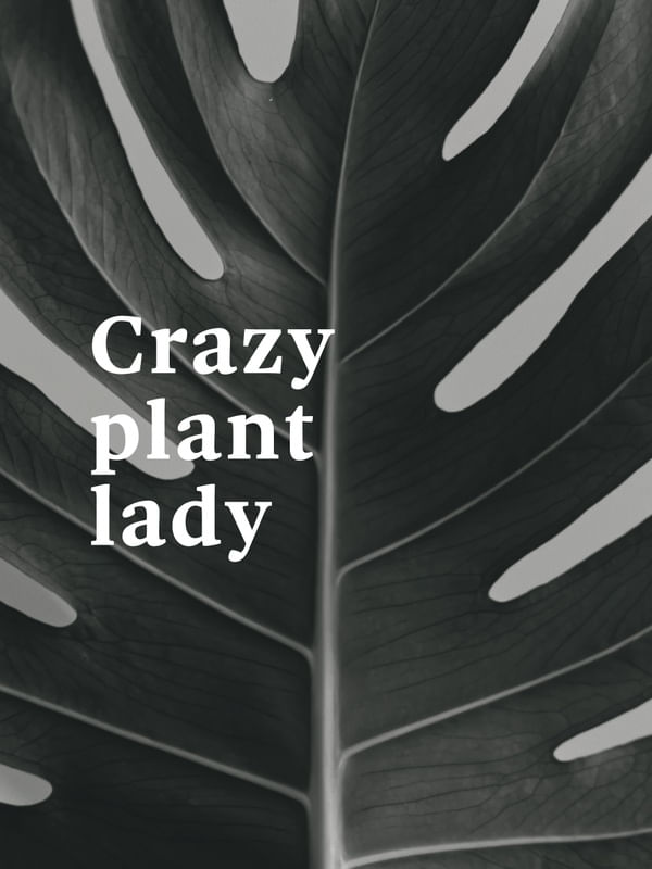 FRASE DE PLANTA XIII